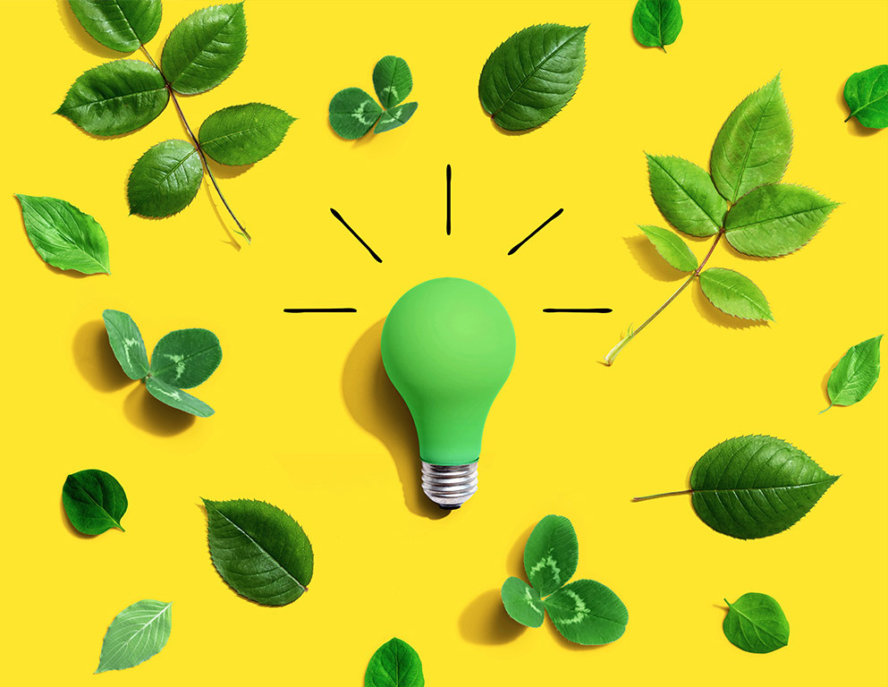 home-green-bulb-crop